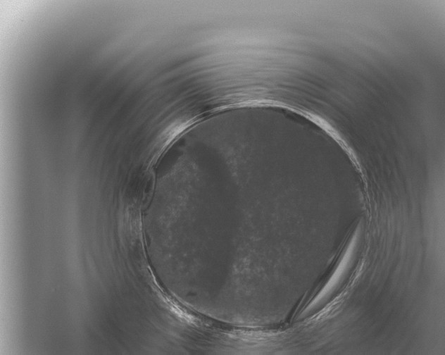 X0000059241289200510211552