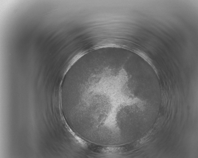 X0000059241290200510211552