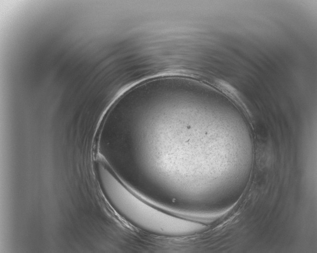 X0000059241292200510211552