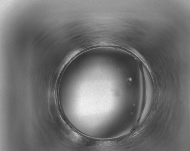 X0000059241293200510211552