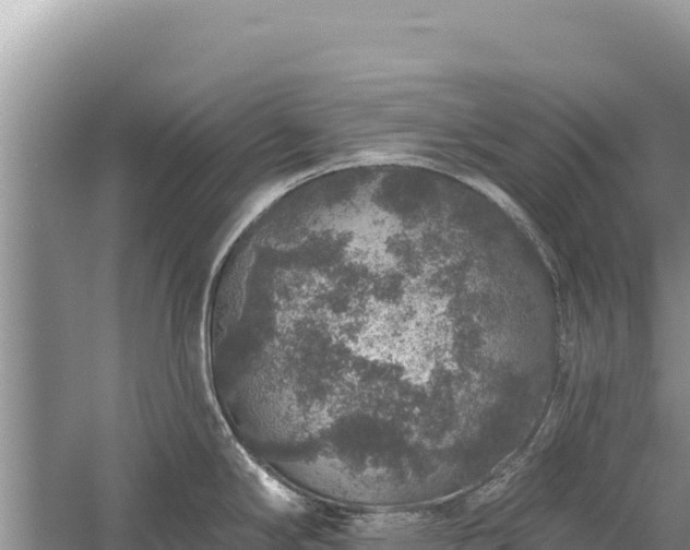 X0000059241294200510211552