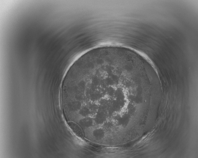 X0000059241295200510211552