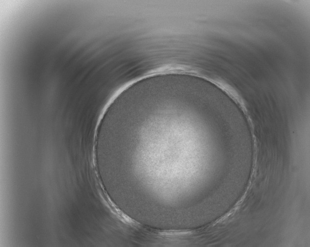 X0000059241296200510211552