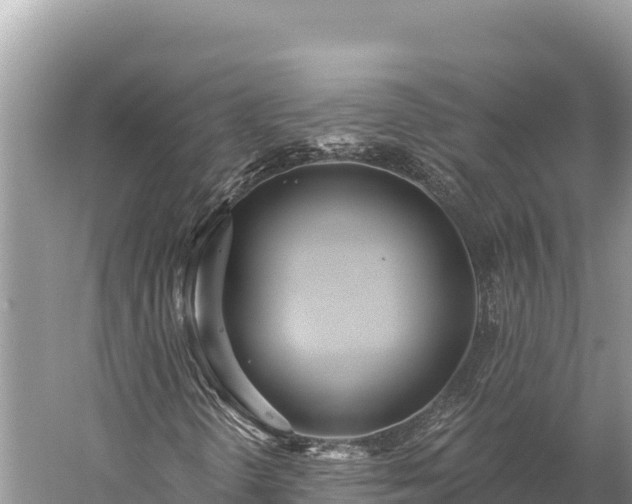 X0000059241298200510211551