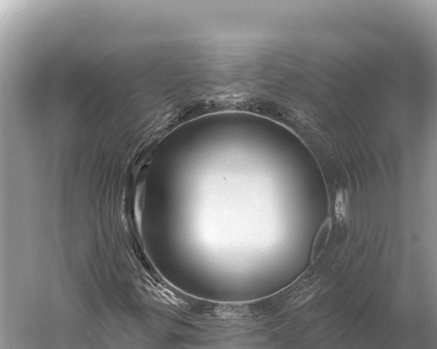 X0000059241299200510211551