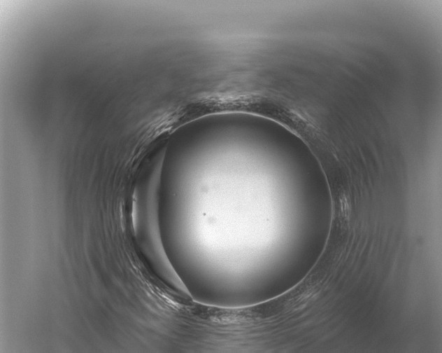 X0000059241300200510211551