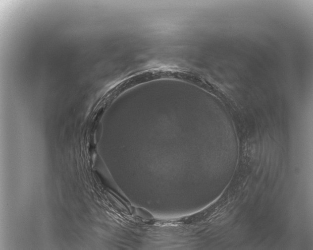 X0000059241303200510211551