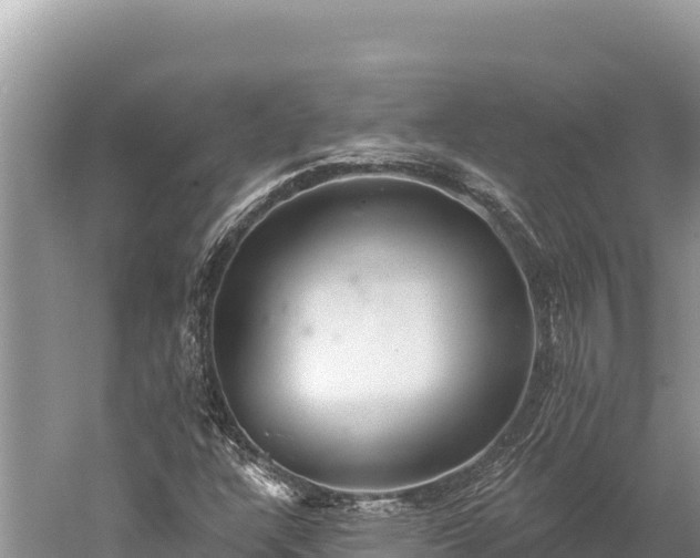 X0000059241304200510211552