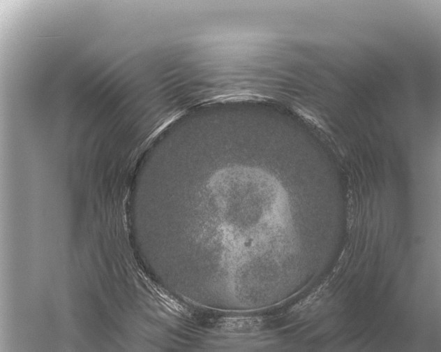 X0000059241305200510211552