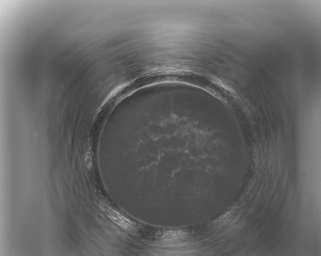 X0000059241306200510211552