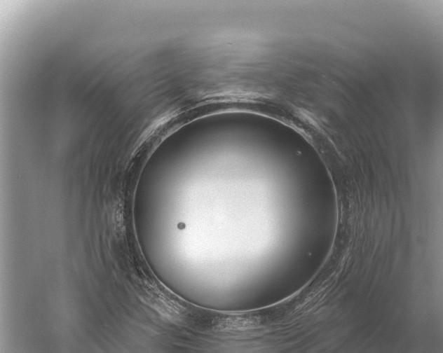 X0000059241307200510211552