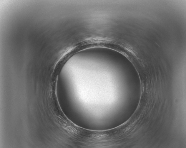 X0000059241309200510211552