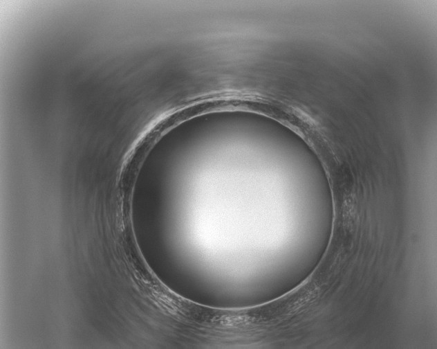 X0000059241310200510211552