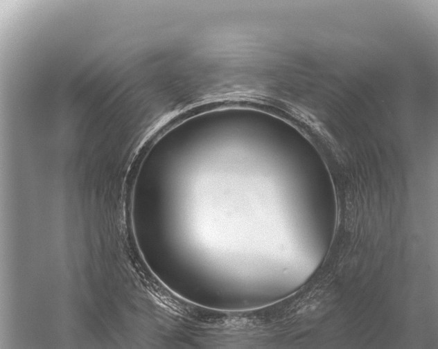 X0000059241316200510211552