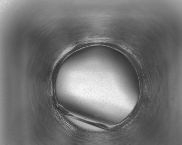 X0000059241317200510211552