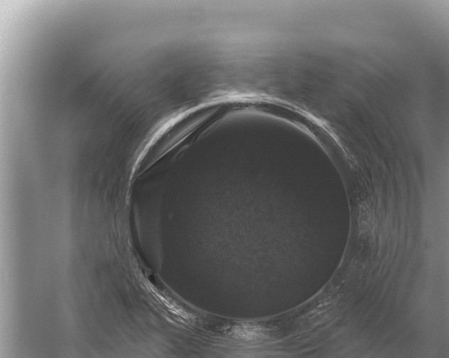 X0000059241319200510211552