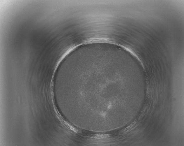 X0000059241325200510211552