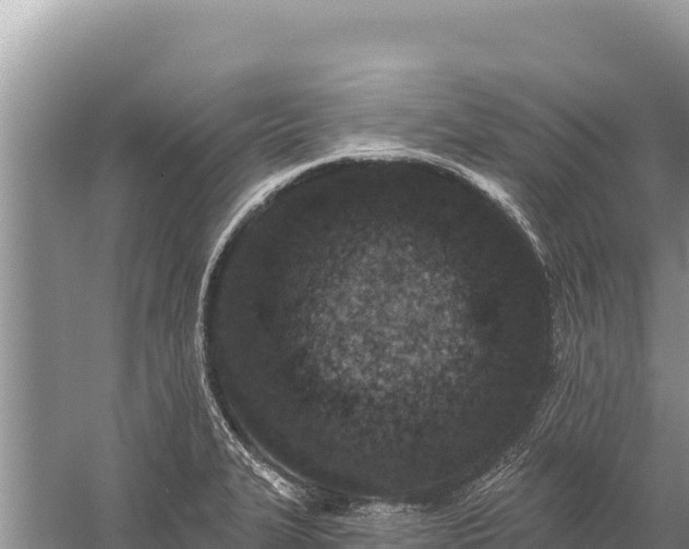 X0000059241327200510211552