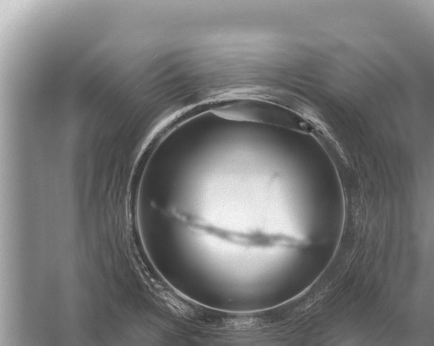 X0000059241328200510211552