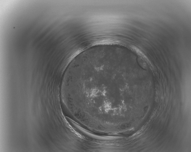 X0000059241329200510211552