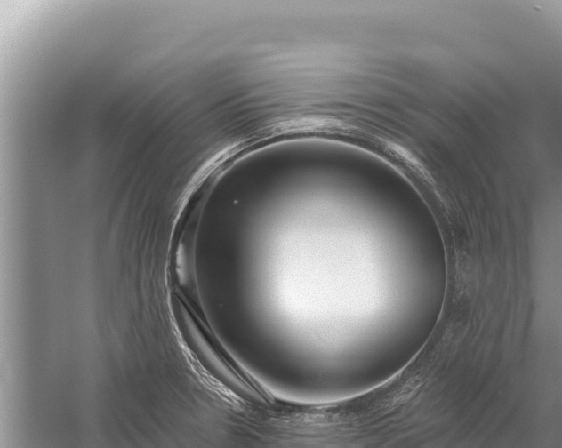 X0000059241330200510211552