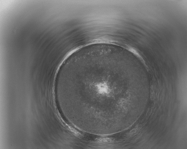 X0000059241331200510211552