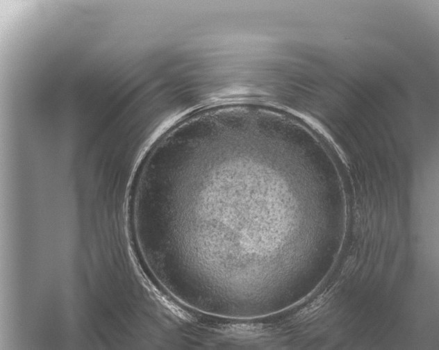 X0000059241333200510211552