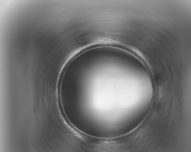 X0000059241335200510211552