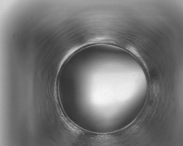 X0000059241336200510211552