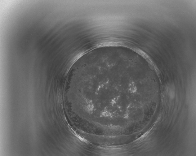 X0000059241337200510211552