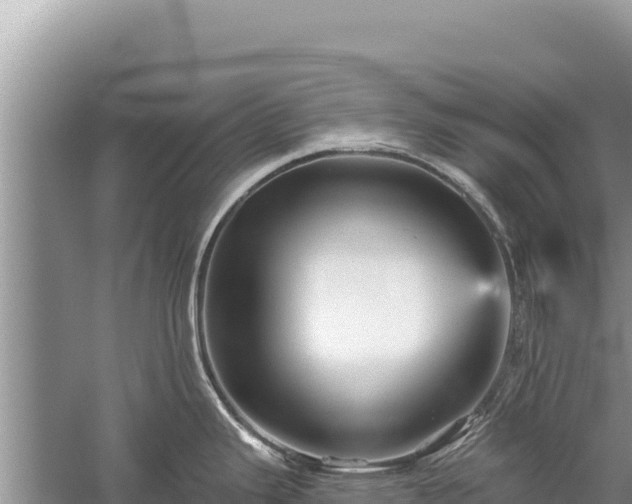 X0000059241343200510211552