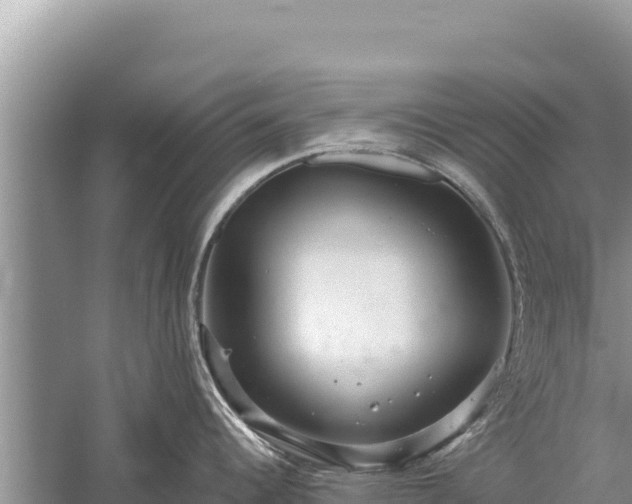 X0000059241344200510211552