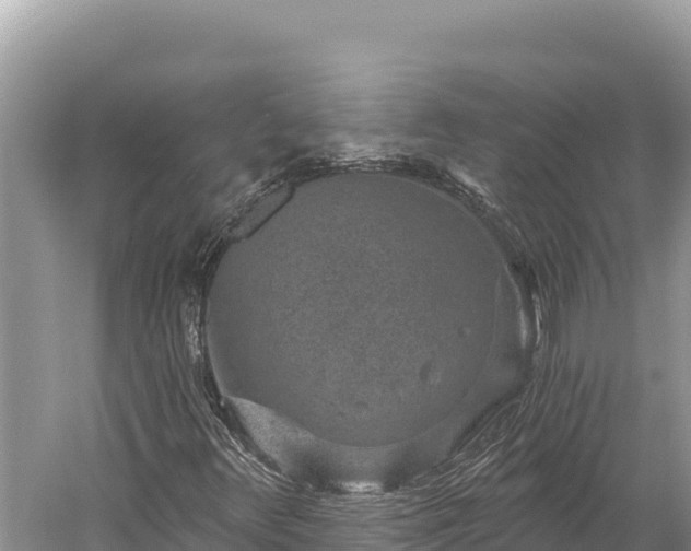 X0000059241348200510211551