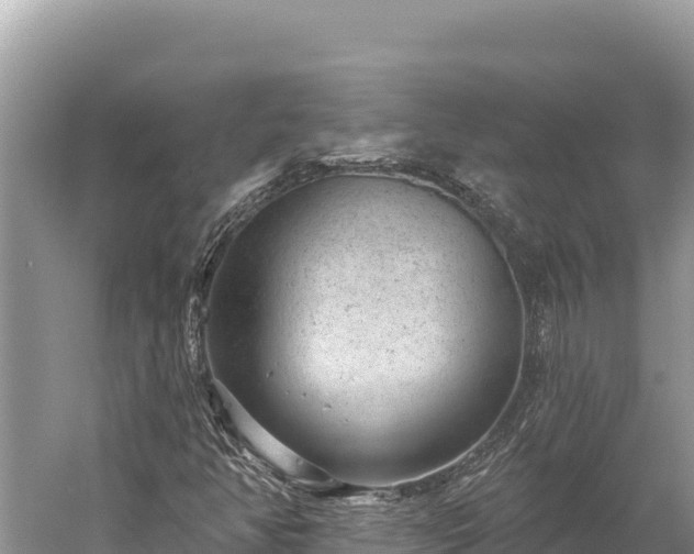 X0000059241350200510211551