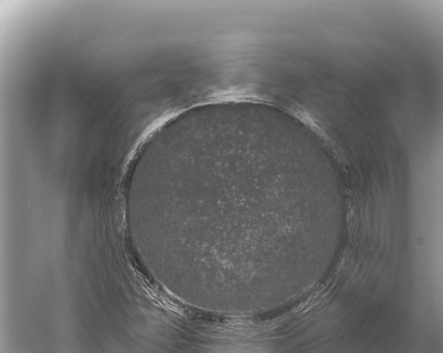 X0000059241358200510211551