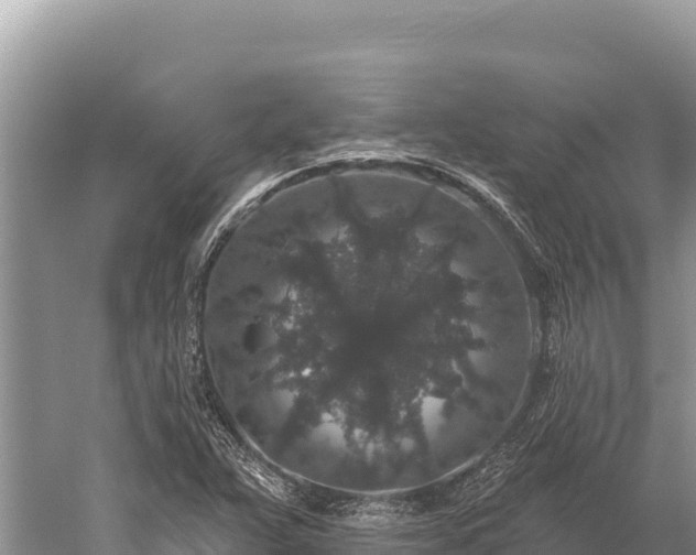 X0000059241359200510211551