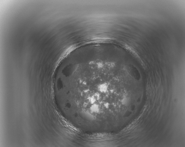 X0000059241362200510211551