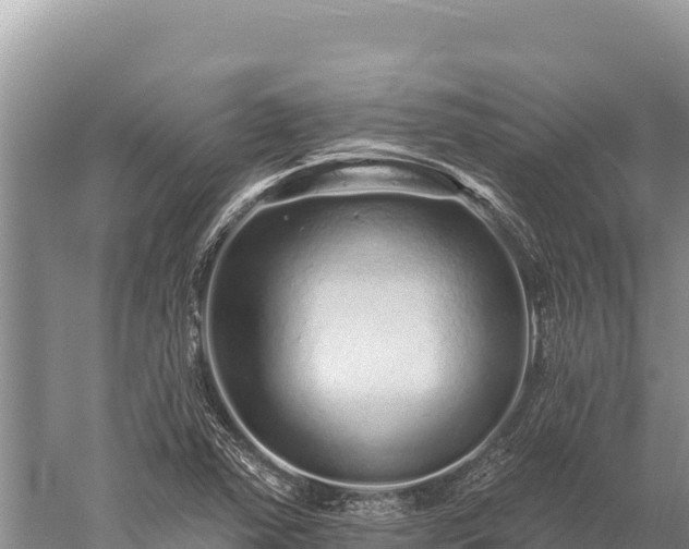 X0000059241363200510211551