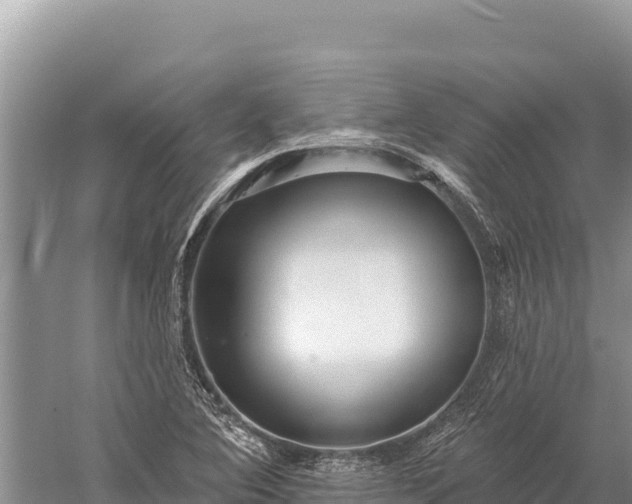 X0000059241364200510211551