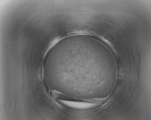 X0000059241365200510211551