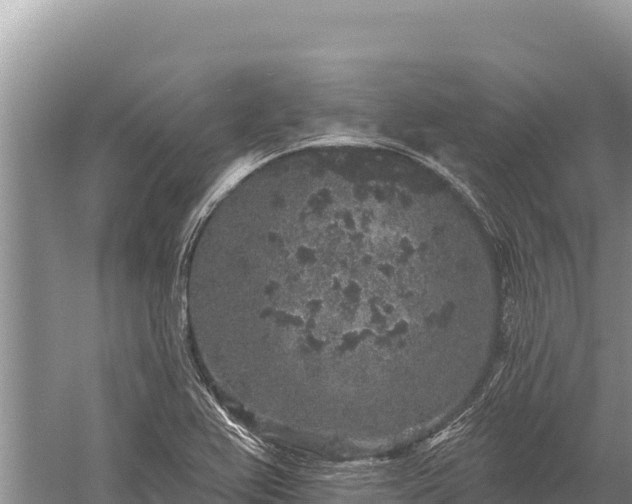 X0000059241367200510211551