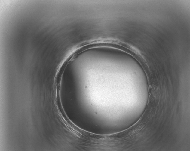 X0000059241368200510211551