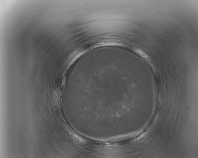 X0000059241369200510211551