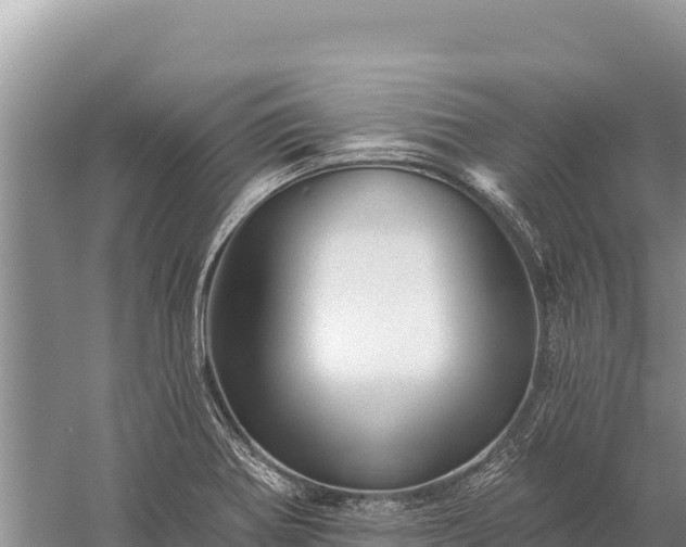 X0000059241370200510211551