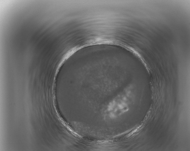 X0000059241373200510211551