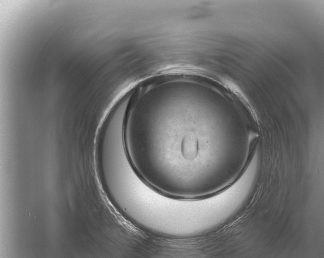 X0000059241376200510211551