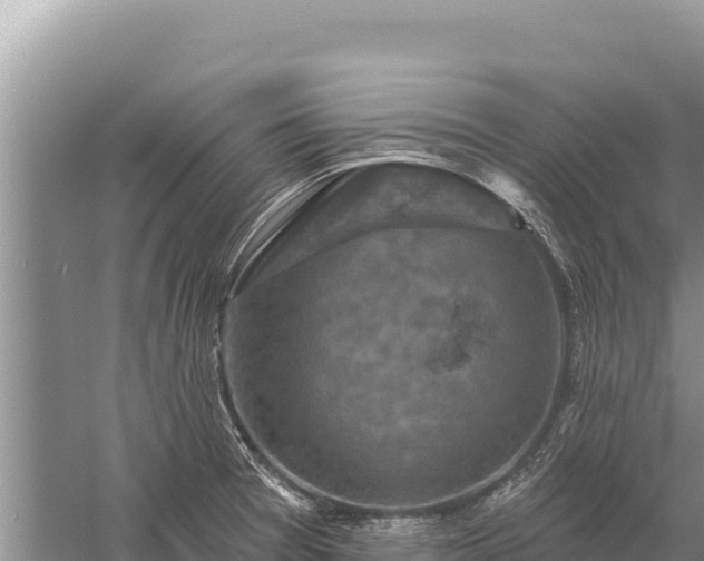 X0000059241377200510211551