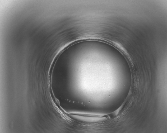 X0000059241380200510211551