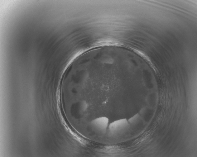 X0000059241383200510211551