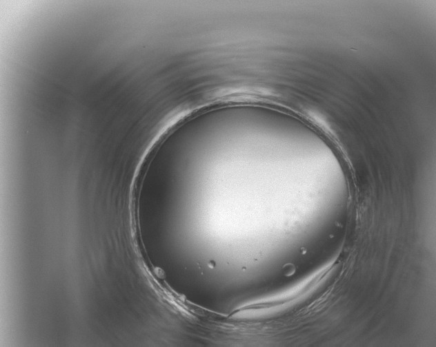 X0000059241384200510211551